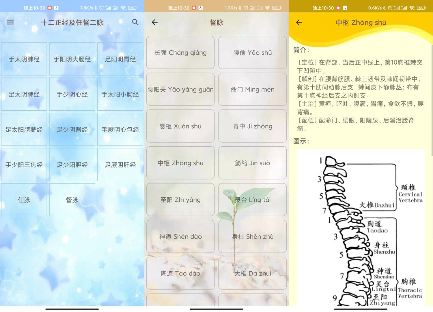 安卓人体穴位图解v3.1.8可离线版